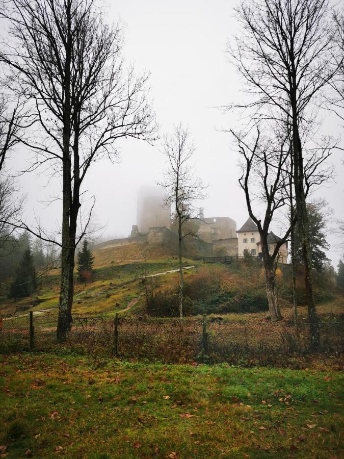 Penzion Landstejnsky Dvur سلافونيتسا المظهر الخارجي الصورة
